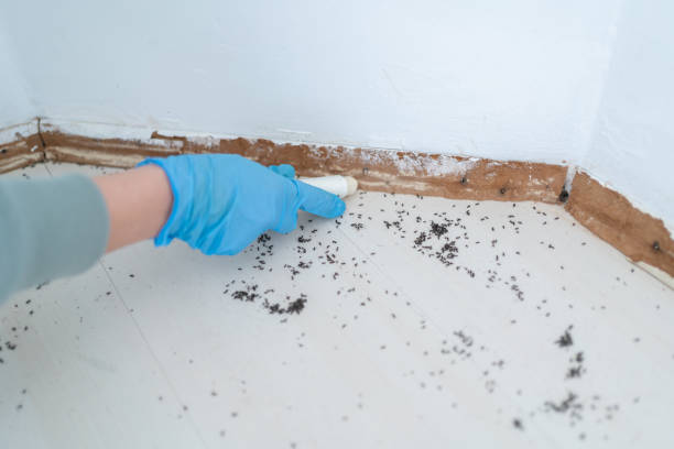 Best Residential Pest Control  in Ord, NE